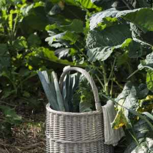 Košara okrogla z ročajem visoka 2934