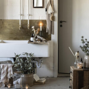 Krtača z ročajem Krtača z ročajem