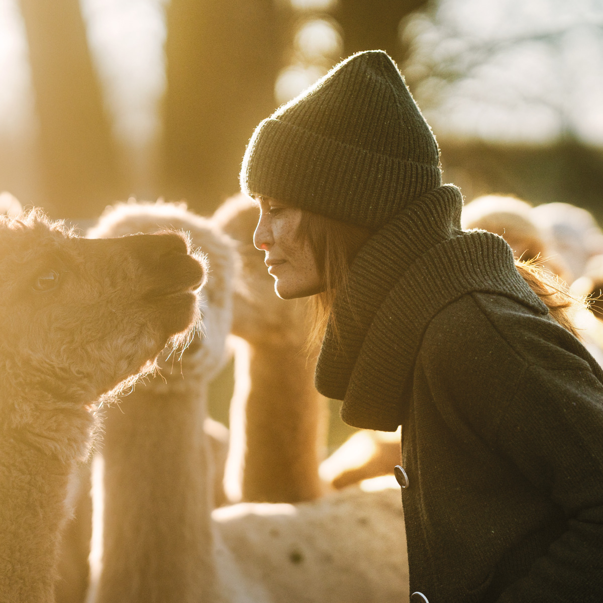 Volnena kapa, T.ZELENA Volnena kapa, T.ZELENA