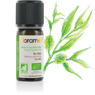 Eterično olje Čajevec Eterično olje Čajevec