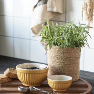 Set 3 skodelic mustard Set 3 skodelic mustard