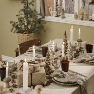 Lesena gobica Lesena gobica