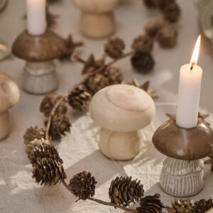 Lesena gobica Lesena gobica